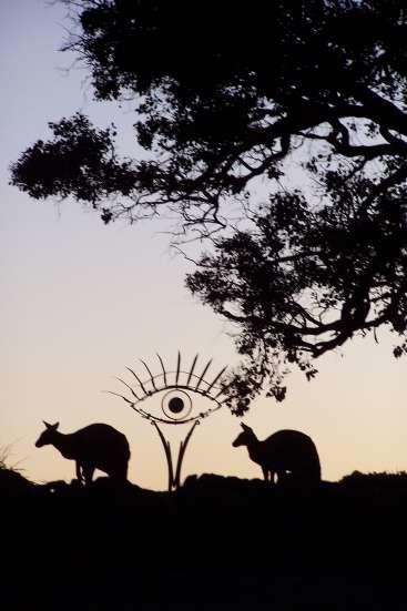 Inspiring Views B&B Wodonga Esterno foto