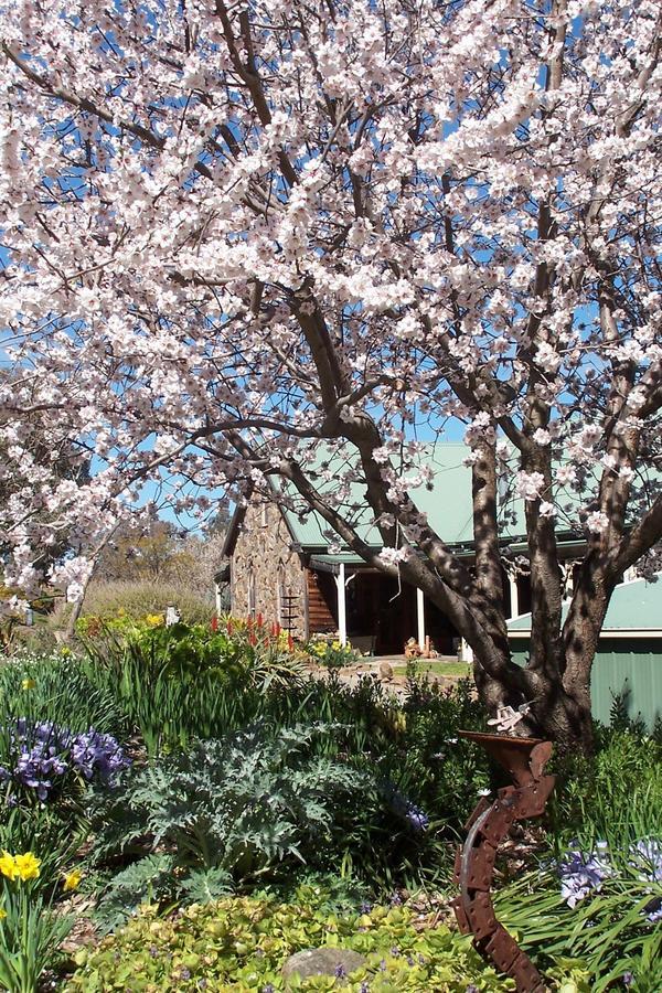 Inspiring Views B&B Wodonga Esterno foto