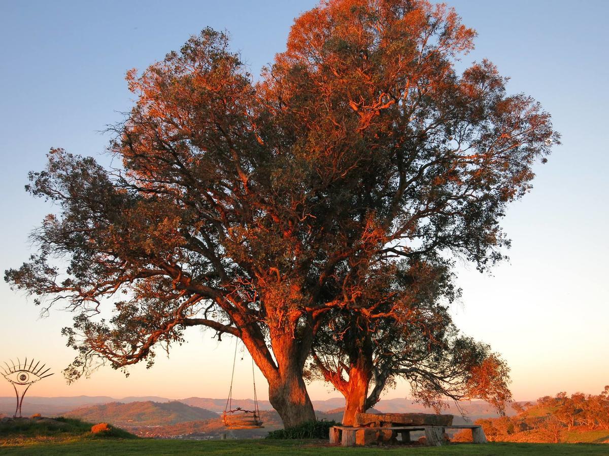 Inspiring Views B&B Wodonga Esterno foto